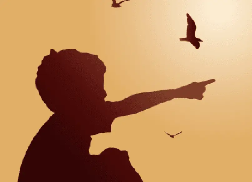 Sophrologie, un enfant qui montre le ciel dans lequel volent des oiseaux.